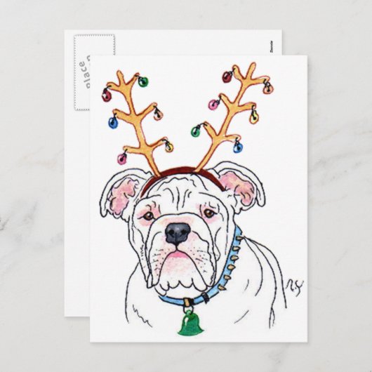 Cartes postales (Devant / Derrière)