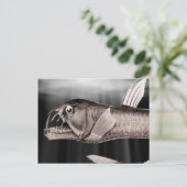 Cartes postales (Debout devant)