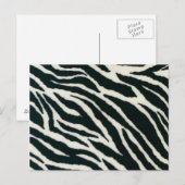 Cartes postales à motif zèbre noir et blanc (Devant / Derrière)