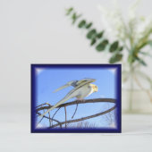 Cartes postales aérodynamiques (Debout devant)