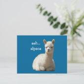 Cartes postales Alpaca (Debout devant)