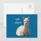 Cartes postales Alpaca (Devant / Derrière)
