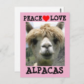 CARTES POSTALES ALPACA LOVE (Devant / Derrière)