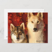 Cartes postales Alpha Wolves Fall (Devant / Derrière)