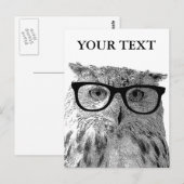 Cartes postales amusantes pour animaux | Chouette  (Devant / Derrière)