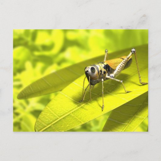 Cartes postales Animaux 34 (Devant)