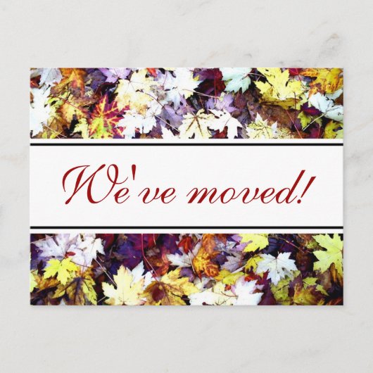 Cartes postales animées de feuilles d'automne | Sc (Devant)