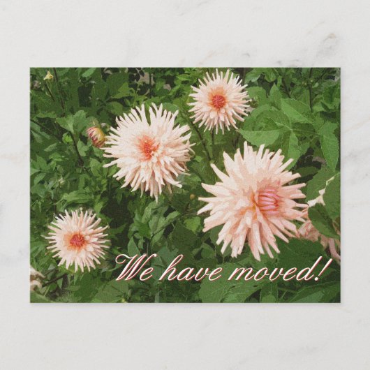 Cartes postales animées florales avec fleur de chr (Devant)