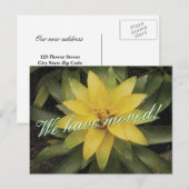 Cartes postales animées florales avec fleur jaune (Devant / Derrière)