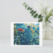 Cartes postales Aquarium (Debout devant)