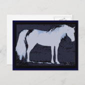 Cartes postales arabes bleues (Devant / Derrière)