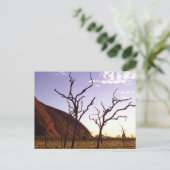 Cartes postales australiennes (Debout devant)