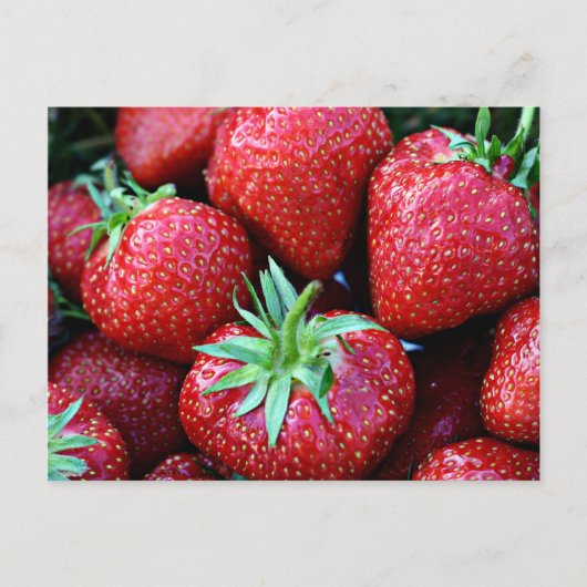 Cartes postales aux fraises (Devant)