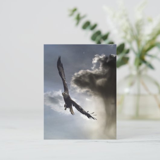 Cartes postales Bald Eagle (Debout devant)