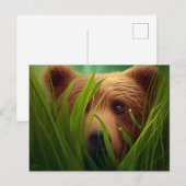 Cartes Postales bear herbe (Devant / Derrière)