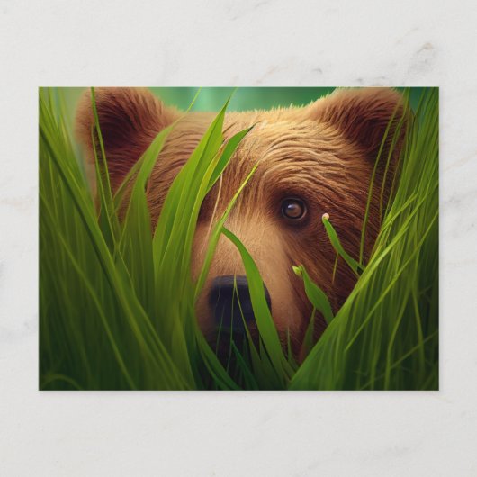 Cartes Postales bear herbe (Devant)