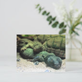 Cartes postales Bed Buddies (Debout devant)