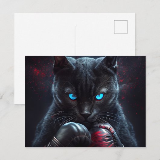 Cartes Postales Black Cat (Devant / Derrière)