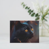 Cartes Postales Black Cat (Debout devant)