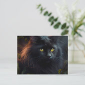 Cartes Postales Black Cat (Debout devant)