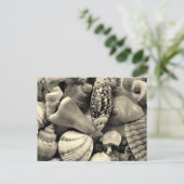 Cartes postales blanches et noires (Debout devant)