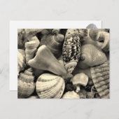 Cartes postales blanches et noires (Devant / Derrière)