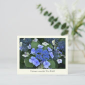 Cartes postales Blue Hydrangea Collectable Flower (Debout devant)