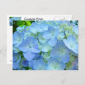 Cartes postales Blue Hydrangea Fleurs Cartes posta (Devant / Derrière)