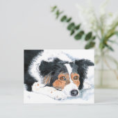 Cartes postales Border Collie Mattie (Debout devant)