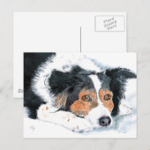 Cartes postales Border Collie Mattie (Devant / Derrière)