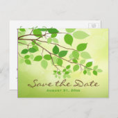 Cartes postales "Branches feuillues vertes" pour a (Devant / Derrière)