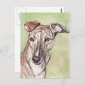 Cartes postales Brindle Greyhound Dog Art (Devant / Derrière)