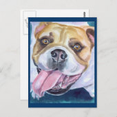 Cartes postales Bulldog anglais (Devant / Derrière)