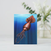 Cartes postales calamars (Debout devant)