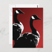 Cartes postales Canada Custom Canada Goose Cartes (Devant / Derrière)