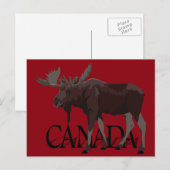 Cartes postales Canada Moose Cartes postales canad (Devant / Derrière)