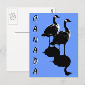 Cartes postales Canada Souvenir Cartes Canada Oies (Devant / Derrière)