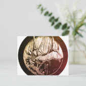 Cartes postales Caribou Tree & Landscaping (Debout devant)