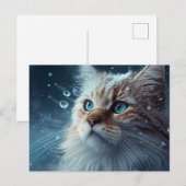 Cartes Postales Cat Divers (Devant / Derrière)