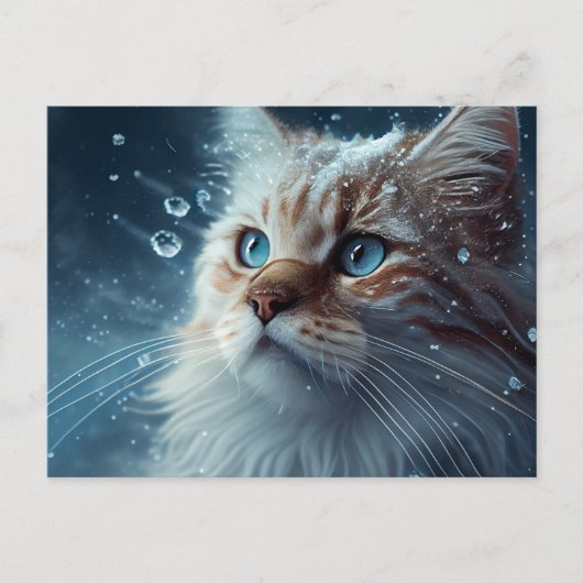 Cartes Postales Cat Divers (Devant)