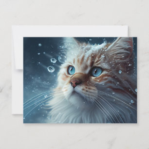 Cartes Postales Cat Divers