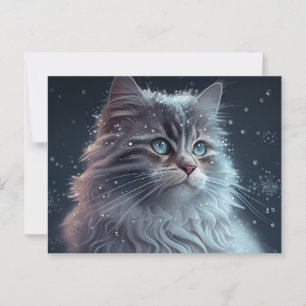 Cartes Postales Cat Divers