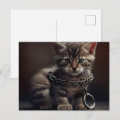 Cartes Postales Cat prisoner (Devant / Derrière)