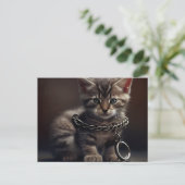 Cartes Postales Cat prisoner (Debout devant)