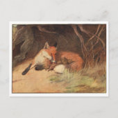 Cartes postales Cecil Aldin (Devant)