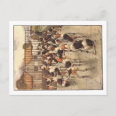 Cartes postales Cecil Aldin (Devant)