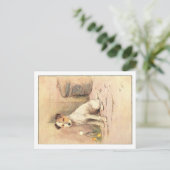 Cartes postales Cecil Aldin (Debout devant)