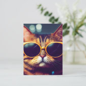 CARTES POSTALES CHAQUE CHAT cool (Debout devant)