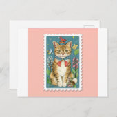 Cartes postales Charming Cat pour Feline Fanatics (Devant / Derrière)