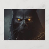 Cartes Postales Chat capuche (Devant)